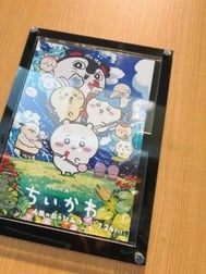테리 테리 소스
