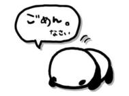 미안해요💦