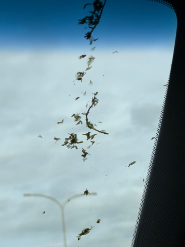 20260706_194948_b731bc77d1b7aa6ab86ac1a9f76fd0eb.png