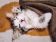 안녕하세요 😊