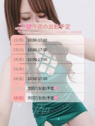 🌿🗓 이번 주 예정🐰🗓