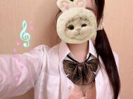 토끼짱🐰