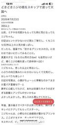 [사례메일기]