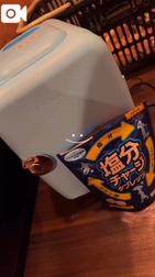 마음도 몸도 여기를 떠나고 싶지 않아