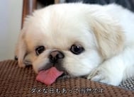 으응,,