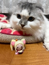 🎀