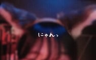 물고기 사랑 🐟𓂃𓈒𓏸
