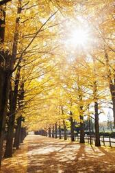 October🍂