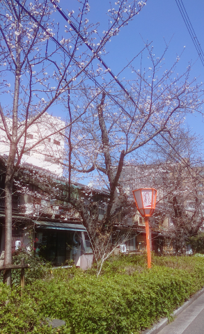 20260327_144408_e566695f535e649b61ffc2aa9412fd64.png