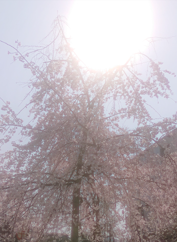 20260425_110244_9e122ad933dd544416dba1f96e7fe318.png