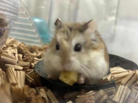 퇴근!