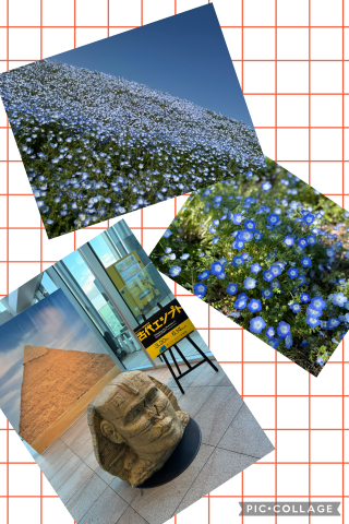 20260422_162157_b840e6de4357bb4f9224e0fe