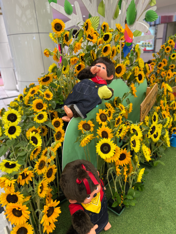 20260804_152639_e279d0a97e9f4ed84b99d3af9104de4f.png