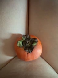 내 전복을