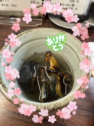 ♡어제♡