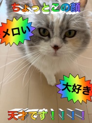 돌아오겠습니다~