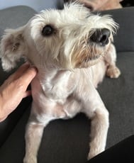 투르츠르슈나