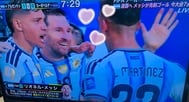 월드컵 ⚽