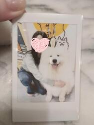 매진되었습니다 ♡
