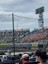 ⚾️10시간 고시엔 야구장 ⚾️︎