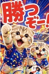 축구의 응원을 모두...