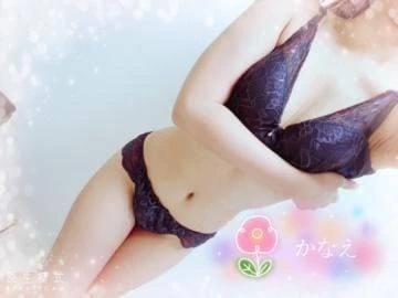 가까이 오면... 🥰
