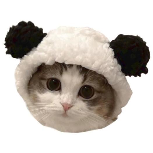 오늘 있습니다!!