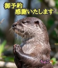 계속 감사합니다 ♡