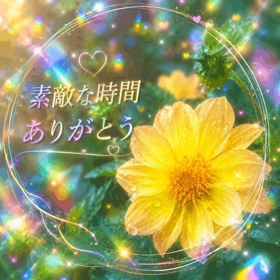 닛포리 아게인 Y님