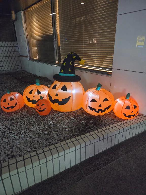 감사