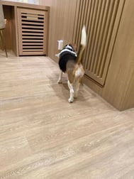 안녕하세요.