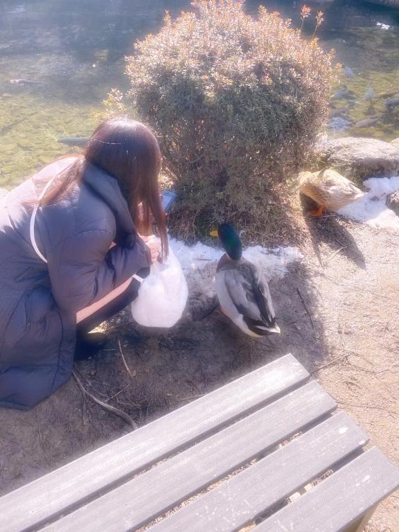 사전 예약 매진