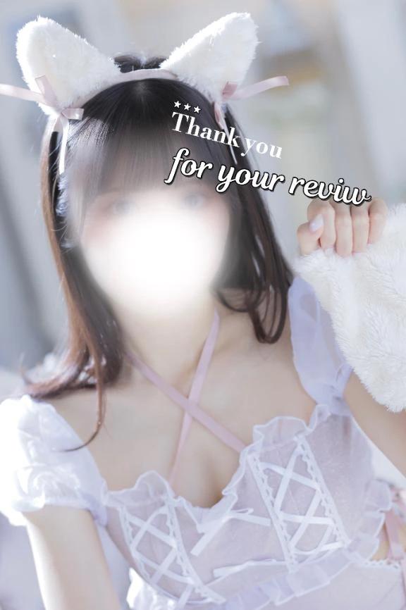 카토 님