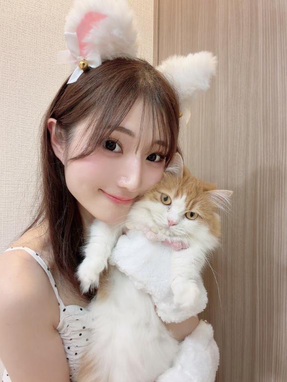 전세