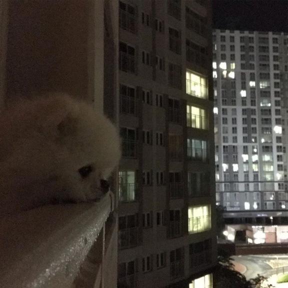 향하고 있어 ³₃