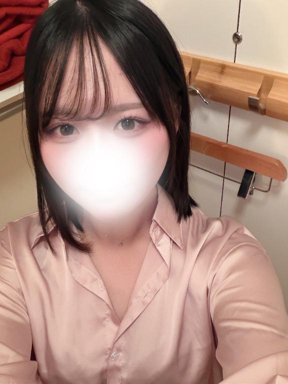 출근했습니다 🕊
