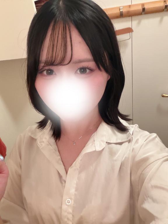 출근했습니다 🕊