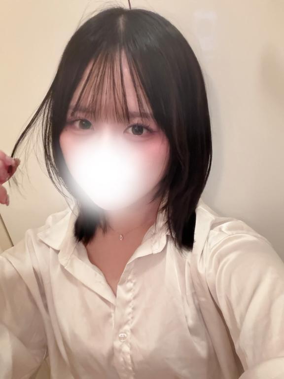 출근했습니다 🕊