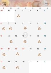 9월 공지