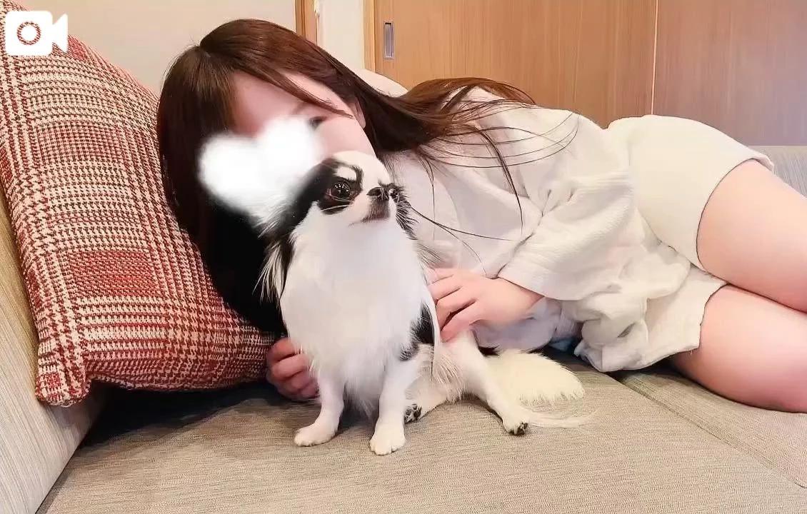 봉제인형