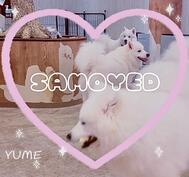 모프 모프하고 싶다 ♡