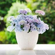 오늘 예약 Y님께