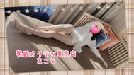 7/12의 감사 ♡