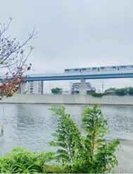 내일☆Y님