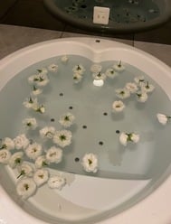 꽃 버스?