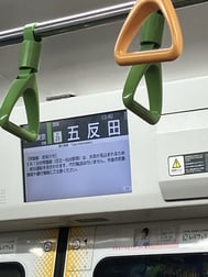 T님에게.