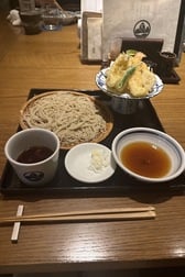 버섯 통신