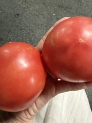 오니 ♡ 코스 올려 주셔서 감사합니다.