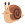 20260331_200631_20c2fa7a08359b5abfd53a41e38a7951.png