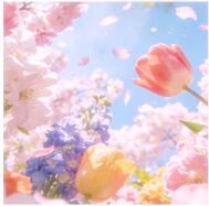 🌸